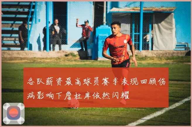 各队薪资最高球员赛季表现回顾伤病影响下詹杜库依然闪耀